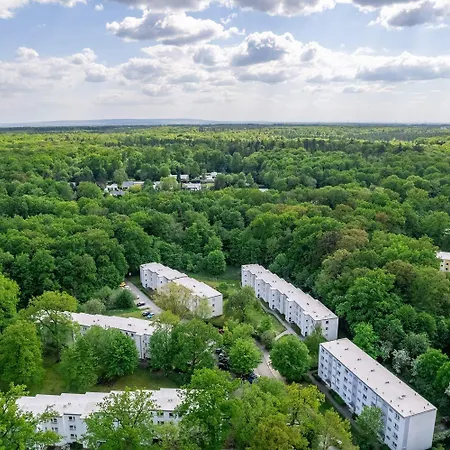 Nice In * Wolfsburg